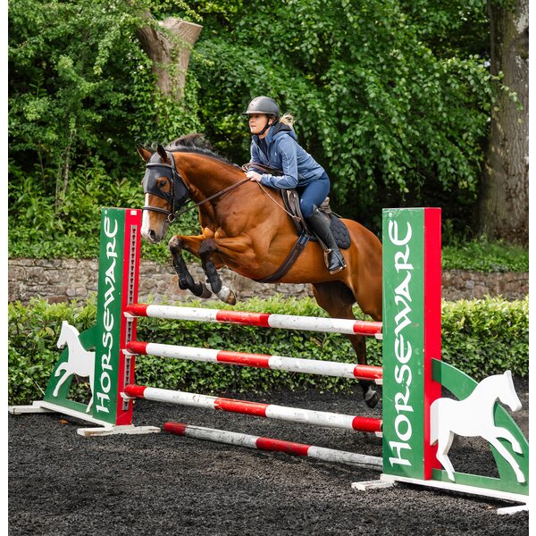 HORSEWARE Gezichtsmasker Ionic Calming Face Mask 