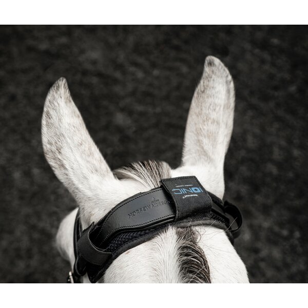 HORSEWARE Ionic Poll Cover black | One size