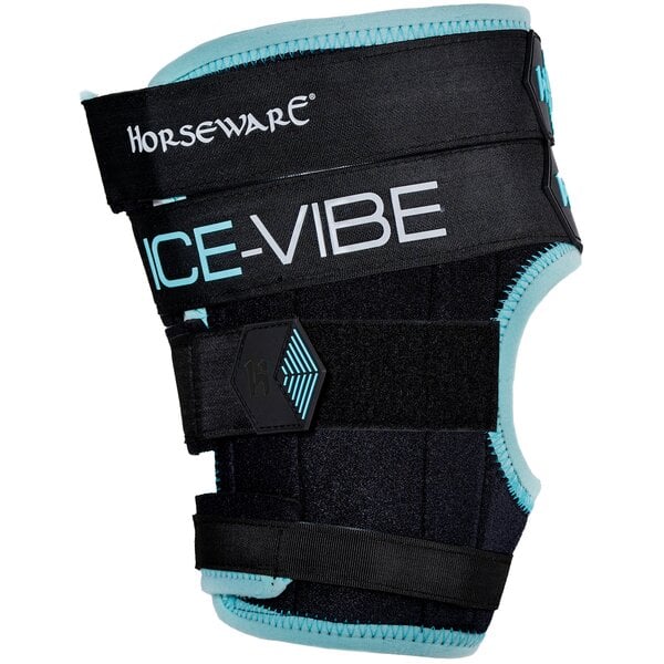 HORSEWARE Sprunggelenk Gamaschen Ice-Vibe black/aqua | WB