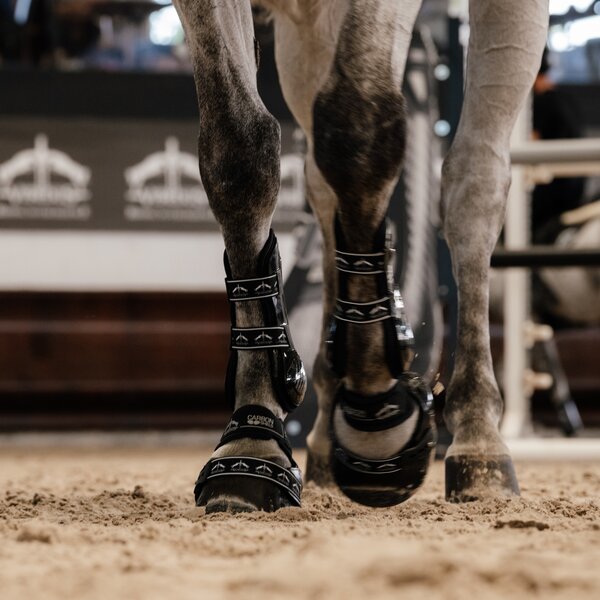 VEREDUS peesbeschermers carbon gel absolute, voor de voorbenen 