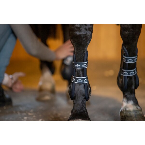 VEREDUS peesbeschermers carbon gel absolute, voor de voorbenen 