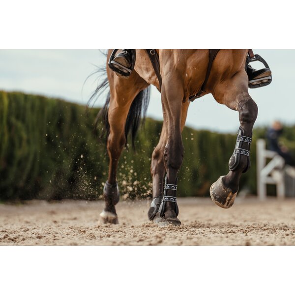 VEREDUS springbeschermers carbon gel vento, voor de voorbenen 