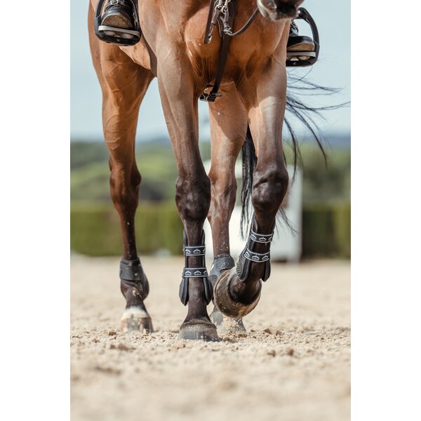 VEREDUS springbeschermers carbon gel vento, voor de voorbenen 