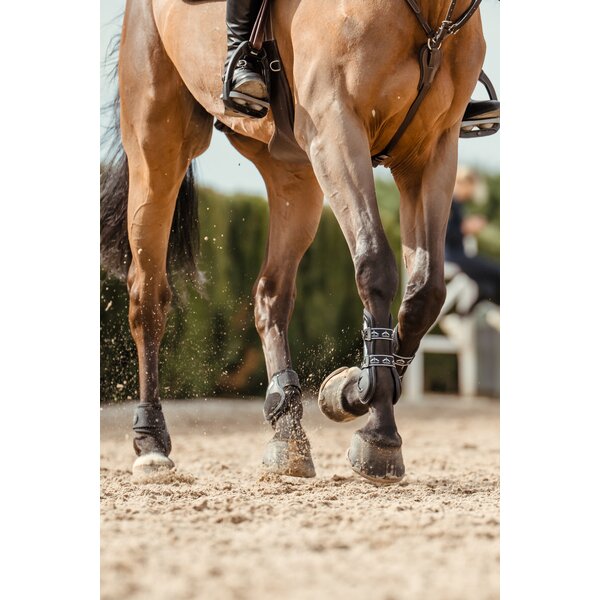 VEREDUS springbeschermers carbon gel vento, voor de voorbenen 