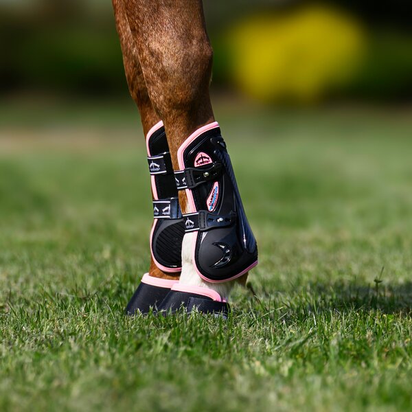 VEREDUS springbeschermers carbon gel vento, voor de voorbenen 