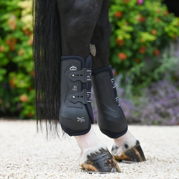 VEREDUS dressuurbeschermers Absolute Elastic, voor de achterbenen 