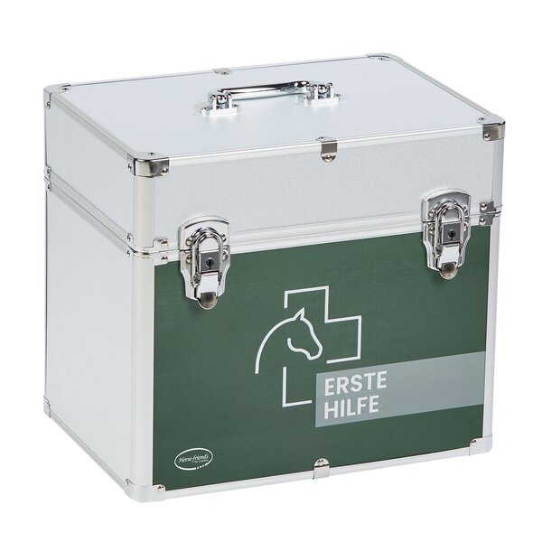 Horse-friends EHBO-box silver
