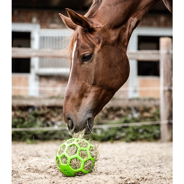 WALDHAUSEN Hooibal green | 22 cm