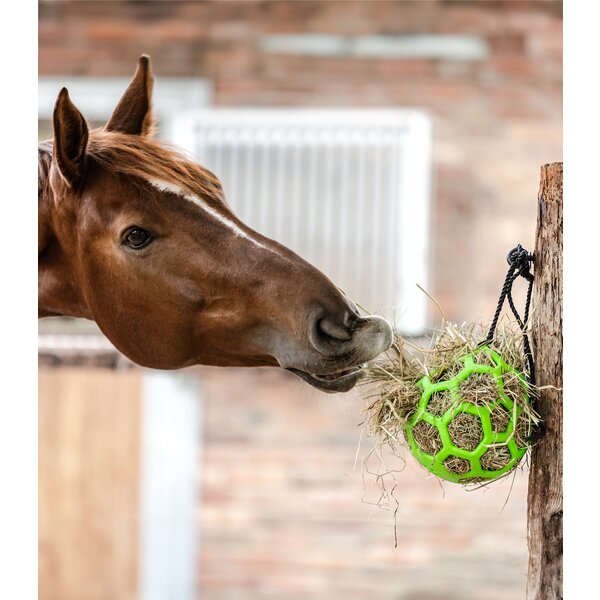 WALDHAUSEN Hooibal green | 22 cm