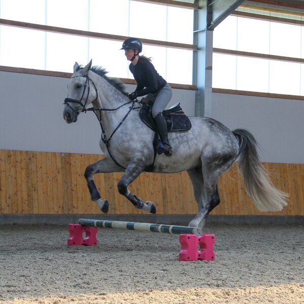 Growi cavaletti pink