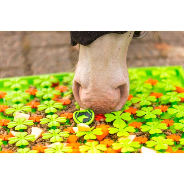 Excellent snuffelmat voor paarden green | ca. 50 x 50 cm