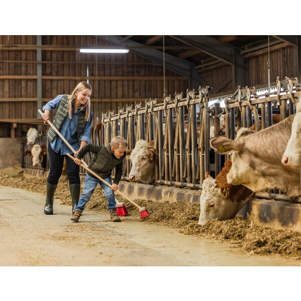 KERBL mini-straatbezem met steel 110 cm | beech stem