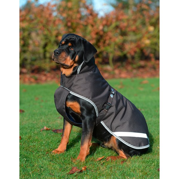 bucas Hundemantel Dog Rug Freedom 50 g Hundemäntel Loesdau Passion Pferdesport