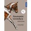 Anatomie verstehen - Besser reiten