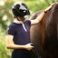 ABUS PIKEUR Reithelm AirDuo