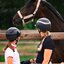 ABUS PIKEUR Reithelm AirDuo