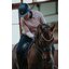 ABUS PIKEUR Reithelm AirLuxe Pure Long Visor