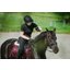 ABUS PIKEUR Reithelm AirLuxe Supreme Glam Long Visor