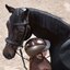 CASCO Reithelm Duell