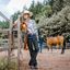 L-pro West Softshell-Chaps