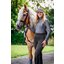 Cavallo Trainingsshirt CAVALUV-PROTECTION HALFZIP SHIRT