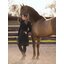 black forest Thermo-Reitrock