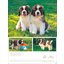 Posterkalender Hundekinder 2025