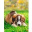 Posterkalender Hundekinder 2025