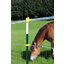 KERBL T-Pfosten, 182 cm