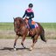 L-pro-West Showshirt-Body