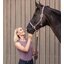 Cheval de Luxe T-Shirt Lille