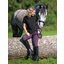 black forest Poloshirt