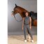 Cheval de Luxe Funktionstop