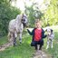 black forest kids Sweatjacke
