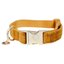 KENTUCKY DOGWEAR Hundehalsband Velvet