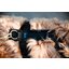 KENTUCKY DOGWEAR Hundegeschirr Activ Velvet