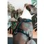 KENTUCKY DOGWEAR Hundegeschirr Activ Velvet
