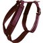 KENTUCKY DOGWEAR Hundegeschirr Activ Velvet