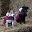 KENTUCKY DOGWEAR Hundemantel Original