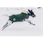 KENTUCKY DOGWEAR Hundemantel Wasserdicht