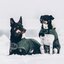 KENTUCKY DOGWEAR Hundemantel Wasserdicht