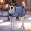 KENTUCKY DOGWEAR Hundemantel reflektierend und wasserabweisend