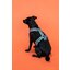 KENTUCKY Dogwear Hundegeschirr Active