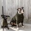 KENTUCKY DOGWEAR Hundepullover Teddy Fleece