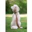 pawberry Hundehalsband Praha