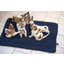 pawberry Hundeplatzdecke Fleece