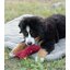 pawberry Hundeplatzdecke Fleece