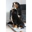 pawberry Hundeplatzdecke Fleece