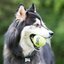 HUNTER KONG Airdog Squeakair Balls