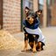 HORSEWARE Hundemantel Fleece